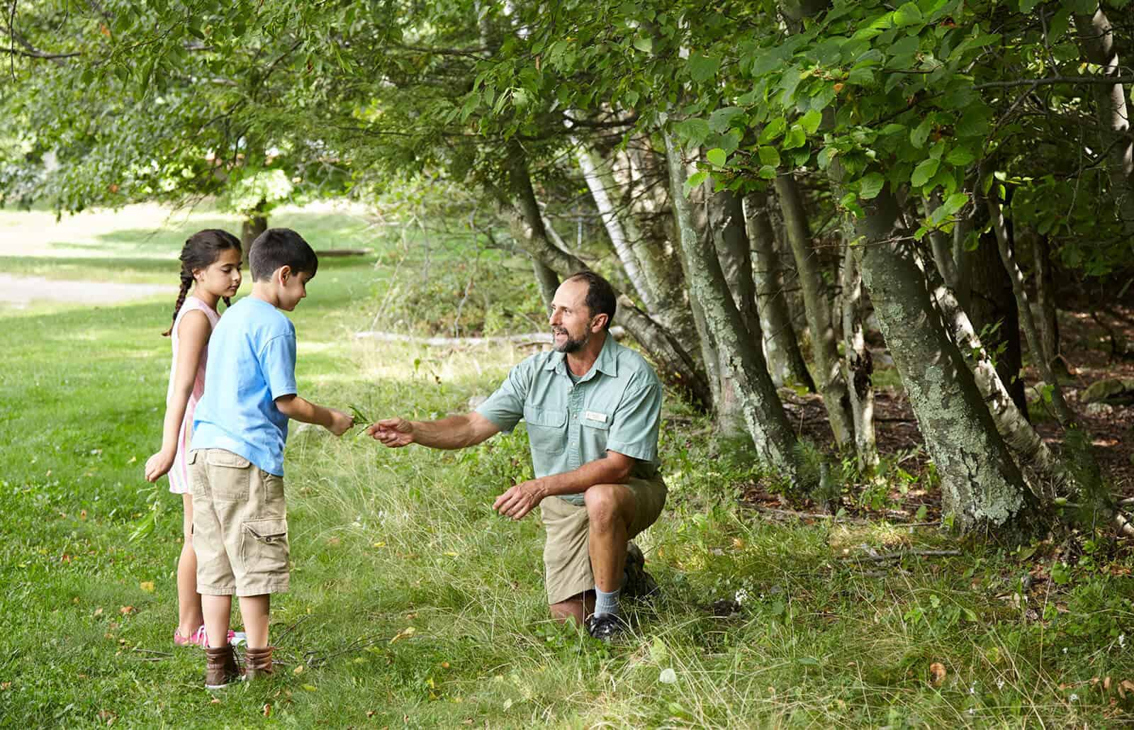 Naturalist showing plants to kids