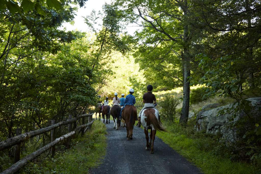 Group Horse Back Riding at Mohonk