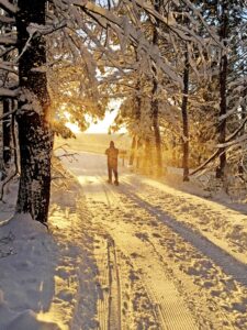 winter snowshoe