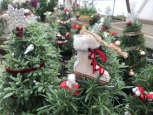Christmas evergreen trees and white boot stocking