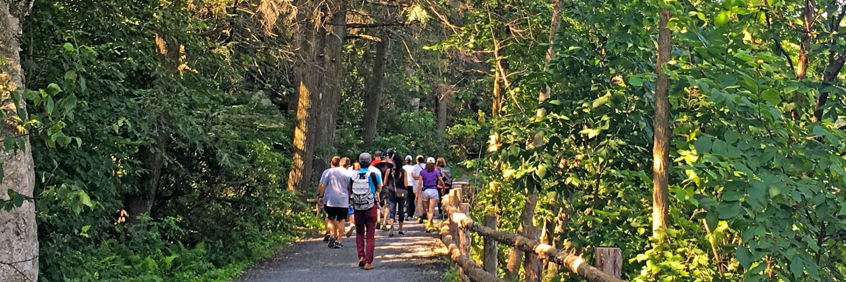 Guided Hikes Offered at Mohonk
