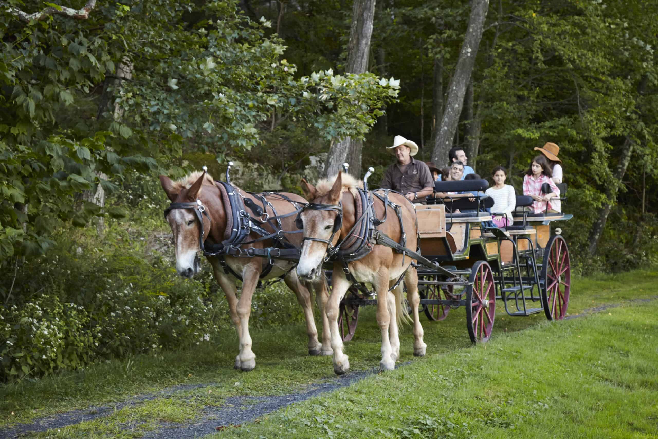 People on a Horse-Drawn Carriage Ride at Mohonk Mountain House