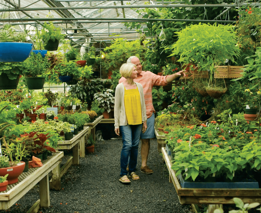 Older Couple in Mohonk's Greenhouse